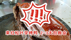 来柳州红松叶学烤鸭，2~3天包教会！