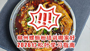 柳州螺蛳粉培训哪家好？2026红松叶学习指南